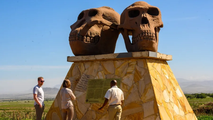 Guided Tour - Excavation Sites