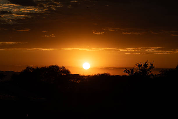 Sunset Game Drive